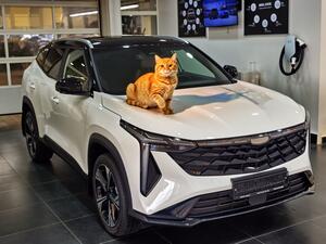 GEELY CITYRAY